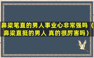 鼻梁笔直的男人事业心非常强吗（鼻梁直挺的男人 真的很厉害吗）